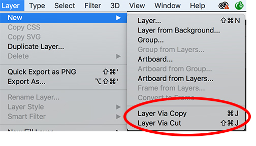 Make a New layer out of a selection.jpg